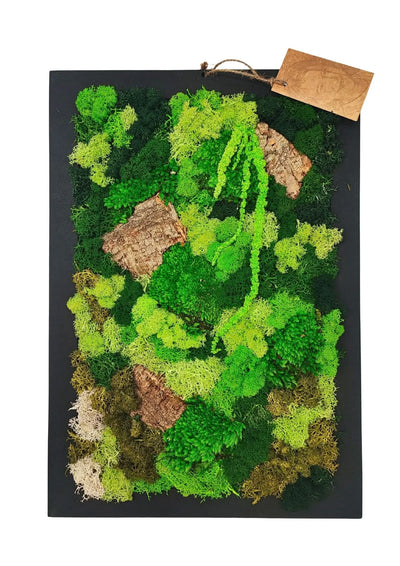 Quadro Rettangolare di Muschio e Licheni Stabilizzati  30x40 cm
