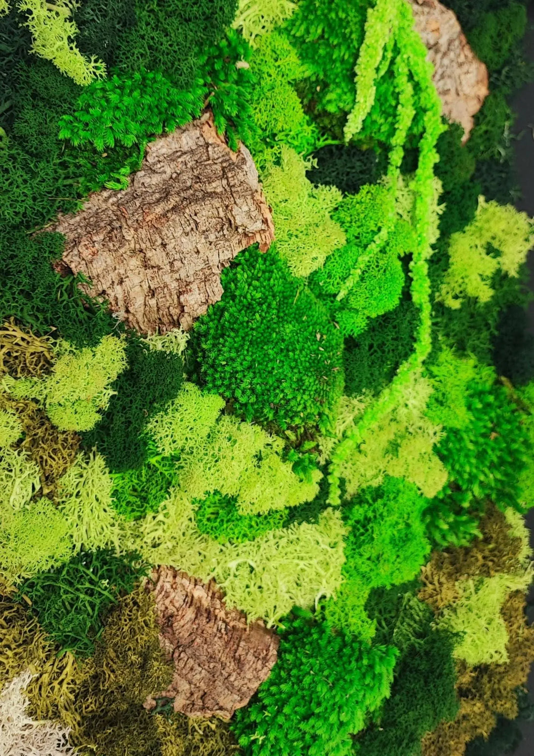 Muschio e licheni stabilizzati - dettaglio ravvicinato delle texture e colori naturali nel quadro 30x40 cm