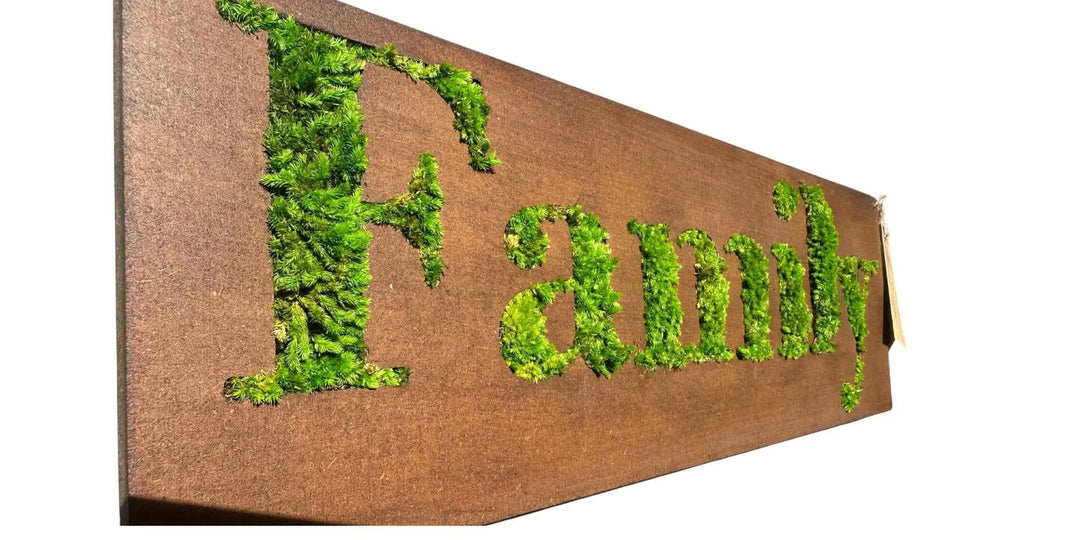 Quadro muschio stabilizzato - vista laterale che mostra lo spessore