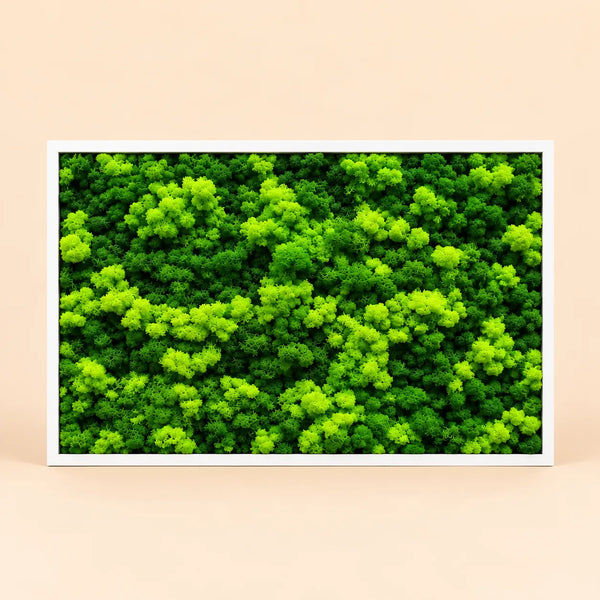 Tableau rectangulaire en lichen stabilisé 103x73 cm