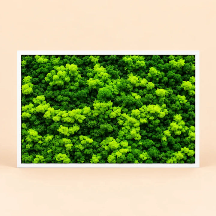 Quadro rettangolare di lichene stabilizzato 103x73 cm con cornice bianca