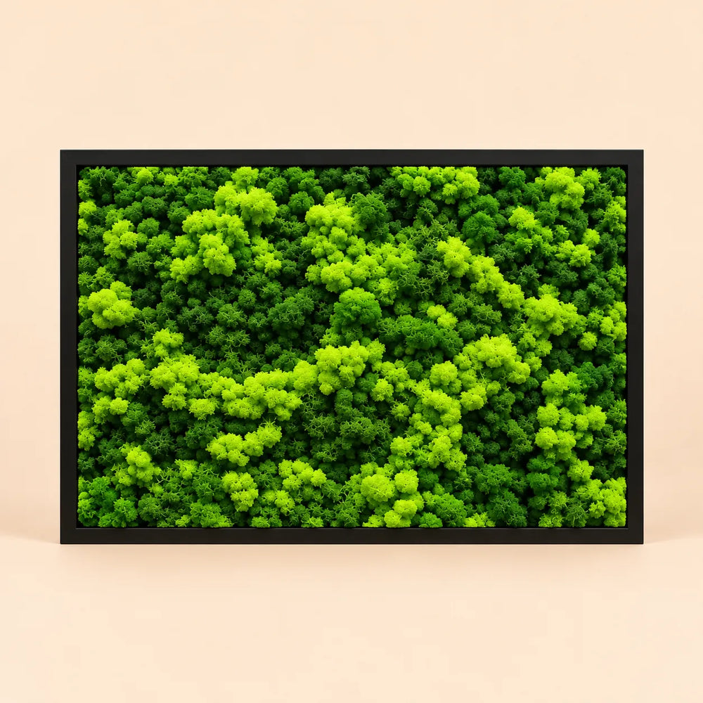 Quadro rettangolare di lichene stabilizzato 103x73 cm con cornice nera