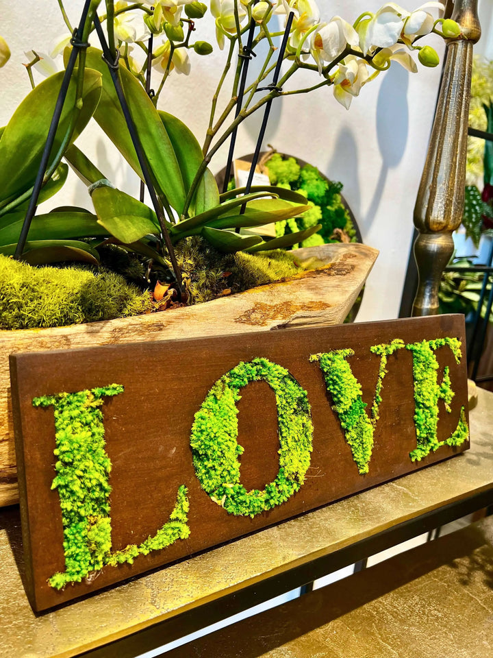 Quadro rettangolare muschio - dettaglio della texture del muschio stabilizzato e del bordo in legno