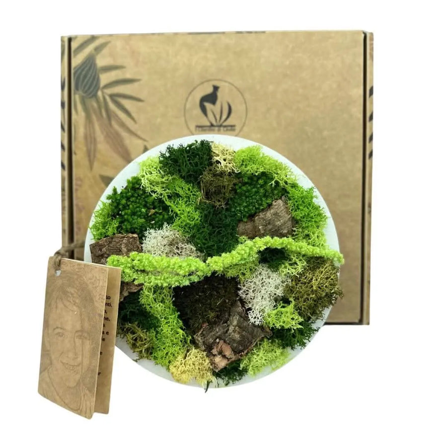 Quadro stabilizzato tondo bianco - decorazione murale con muschio e piante stabilizzate in cornice bianca, vista frontale