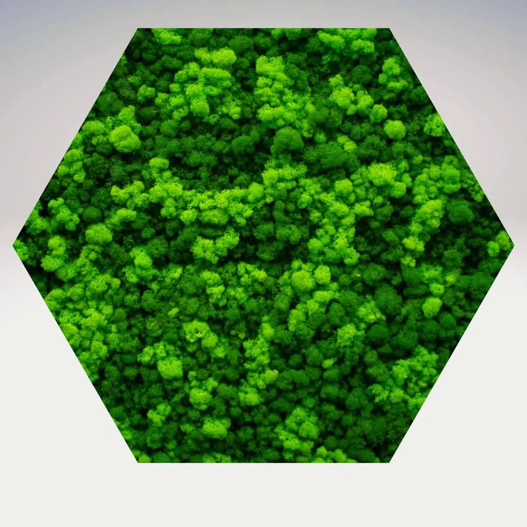 Quadro verde stabilizzato esagonale 60x60 cm senza cornice, vista ravvicinata