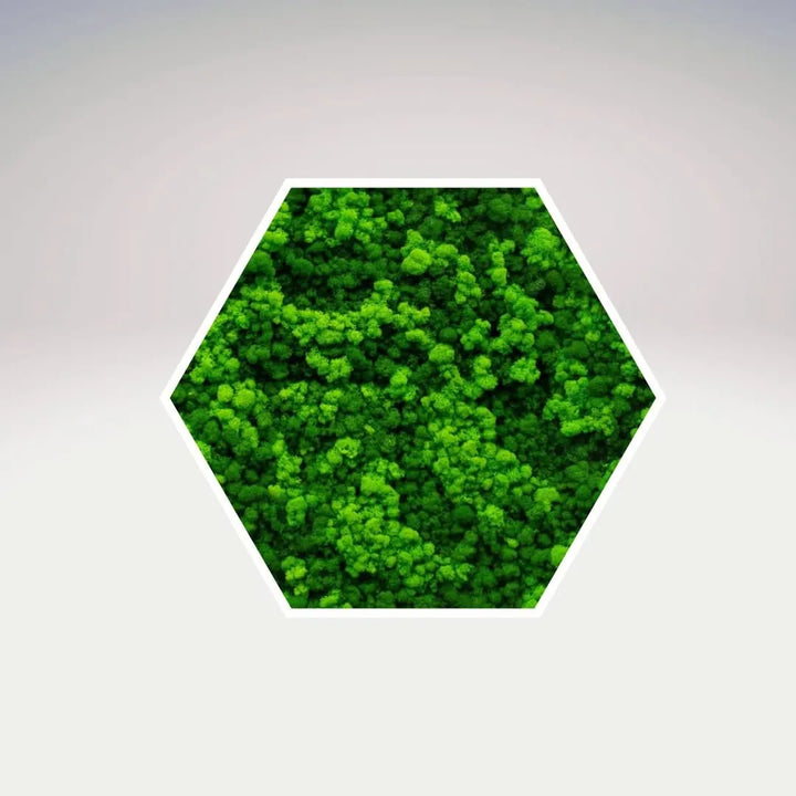 Quadro verde stabilizzato esagonale 40x40 cm cornice bianca, dettaglio