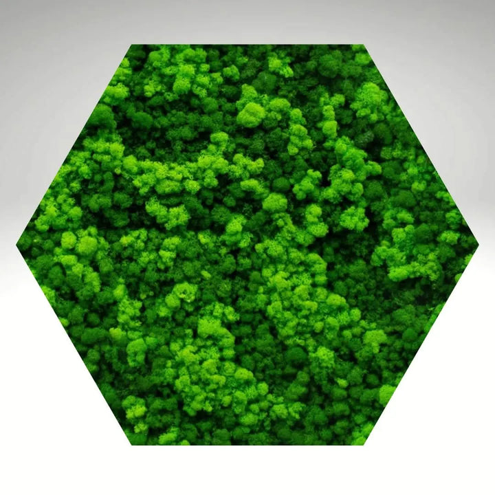 Quadro verde stabilizzato esagonale senza cornice, effetto naturale