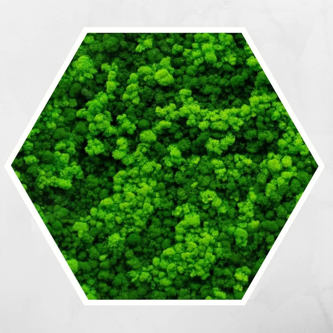 Quadro verde stabilizzato esagonale con cornice bianca, eleganza e design