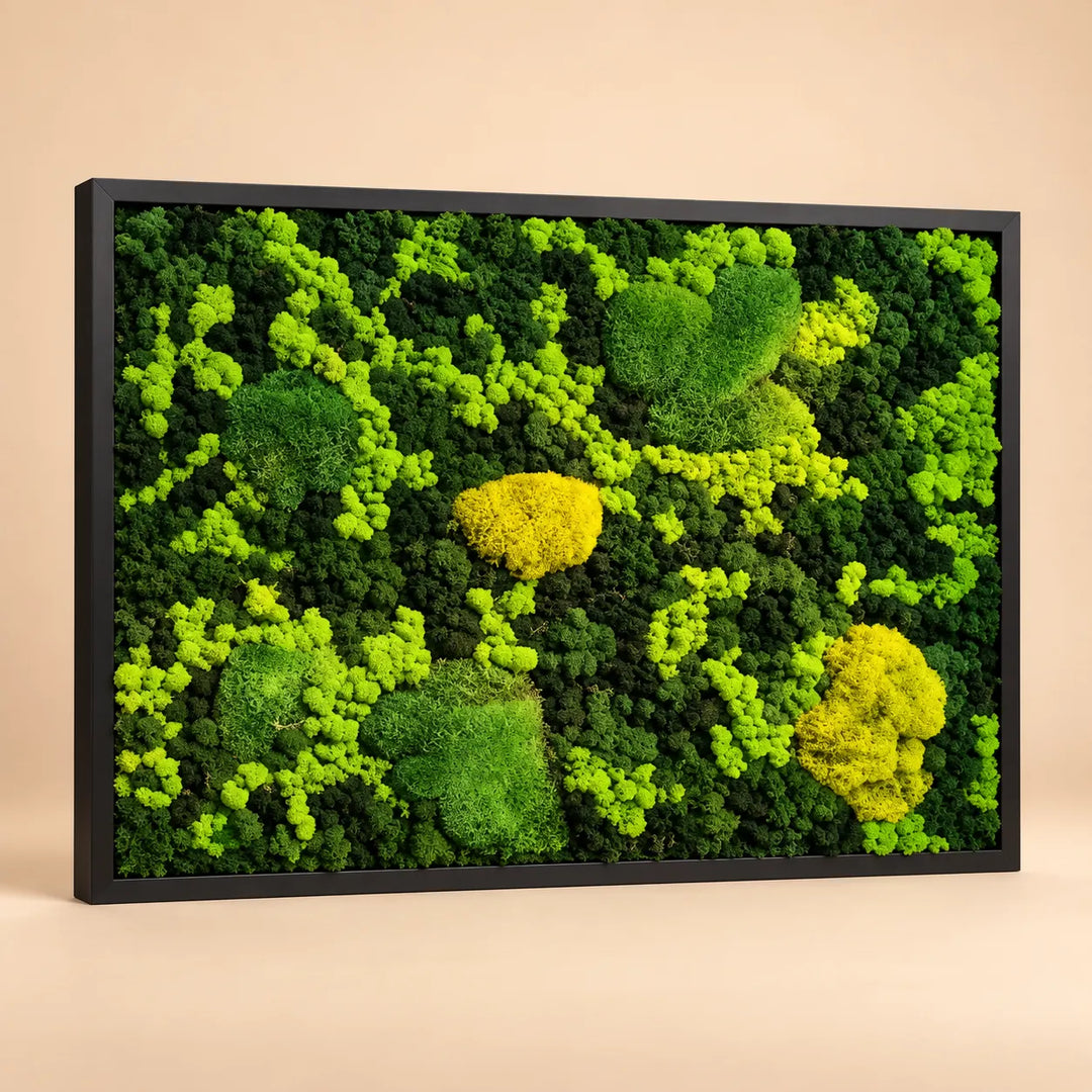 Quadro Vista Bosco 83x63 cm in muschio a palla e licheni stabilizzati con cornice nera, nei toni del verde e del giallo