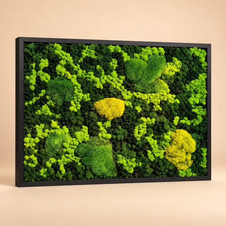 Quadro Vista Bosco 83x63 cm in muschio a palla e licheni stabilizzati con cornice nera, nei toni del verde e del giallo