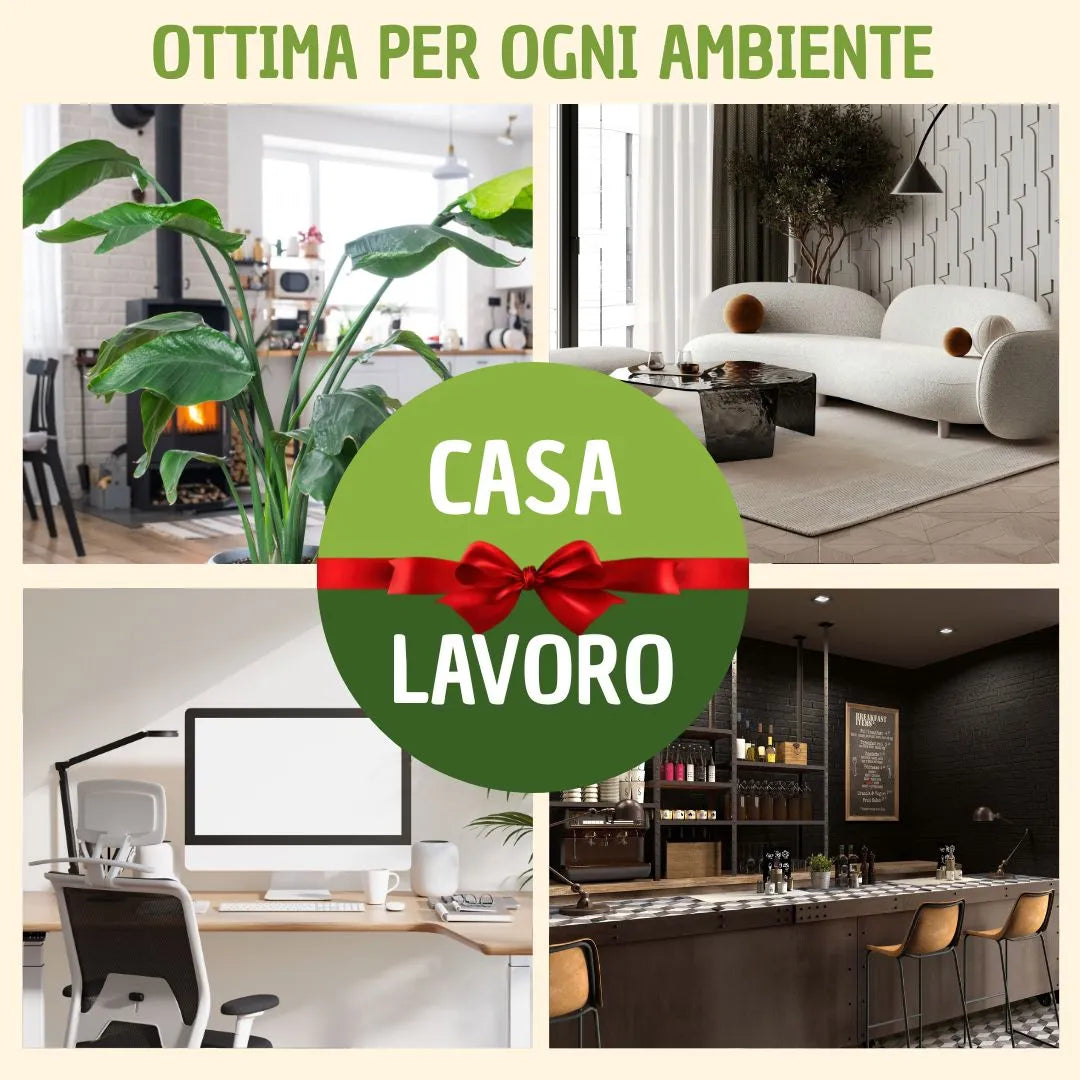 infografica che mostra gli ambienti ottimali per questo quadro 