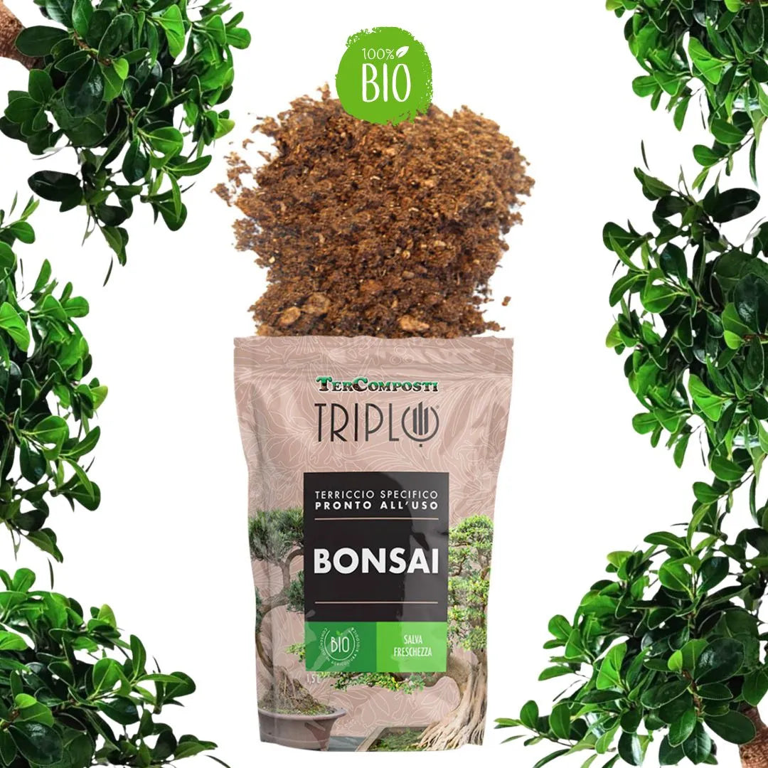 Terriccio BIO per Bonsai 1,5 L – Substrato Drenante Triplo Bio — i Giardini  di Giulia
