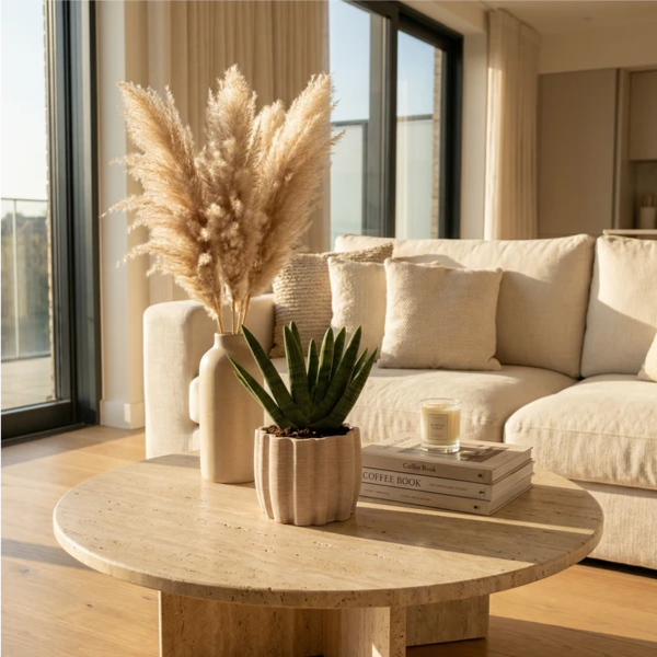Sansevieria Swasdi - pianta in vaso di ceramica su tavolino travertino in soggiorno