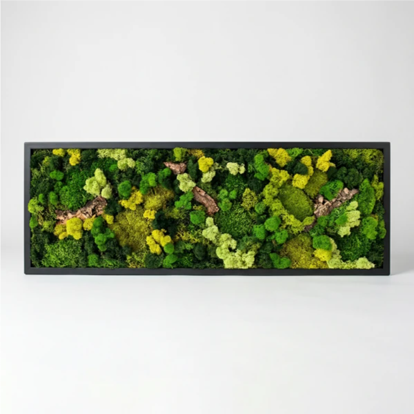 Quadro muschio stabilizzato 90x30 cm - vista laterale della cornice bianca, spessore