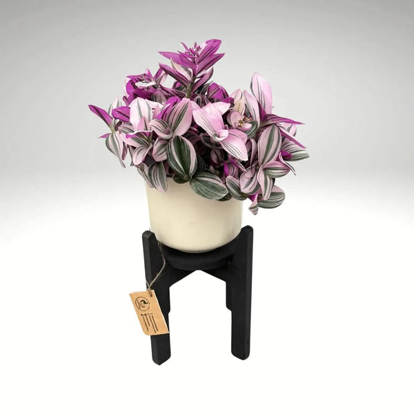 Elégant support pour plantes noir H.30 cm 