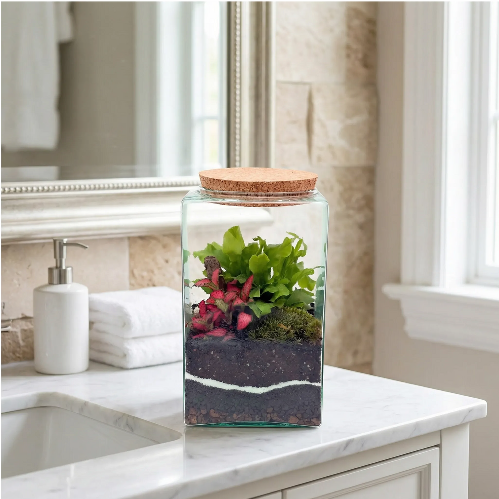 Terrarium Musae 12x20 elegante su mobile bagno in marmo bianco