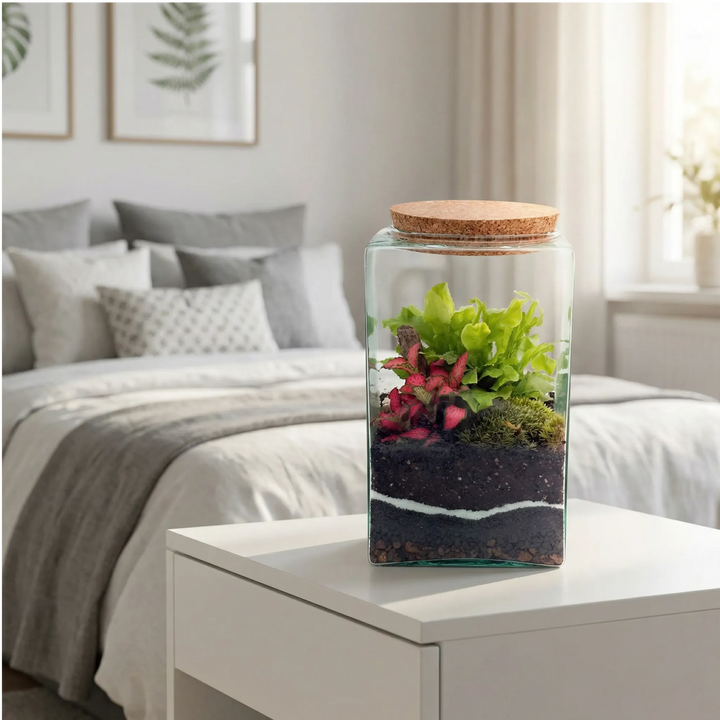 Terrarium Musae 12x20 decorativo su comodino in camera da letto