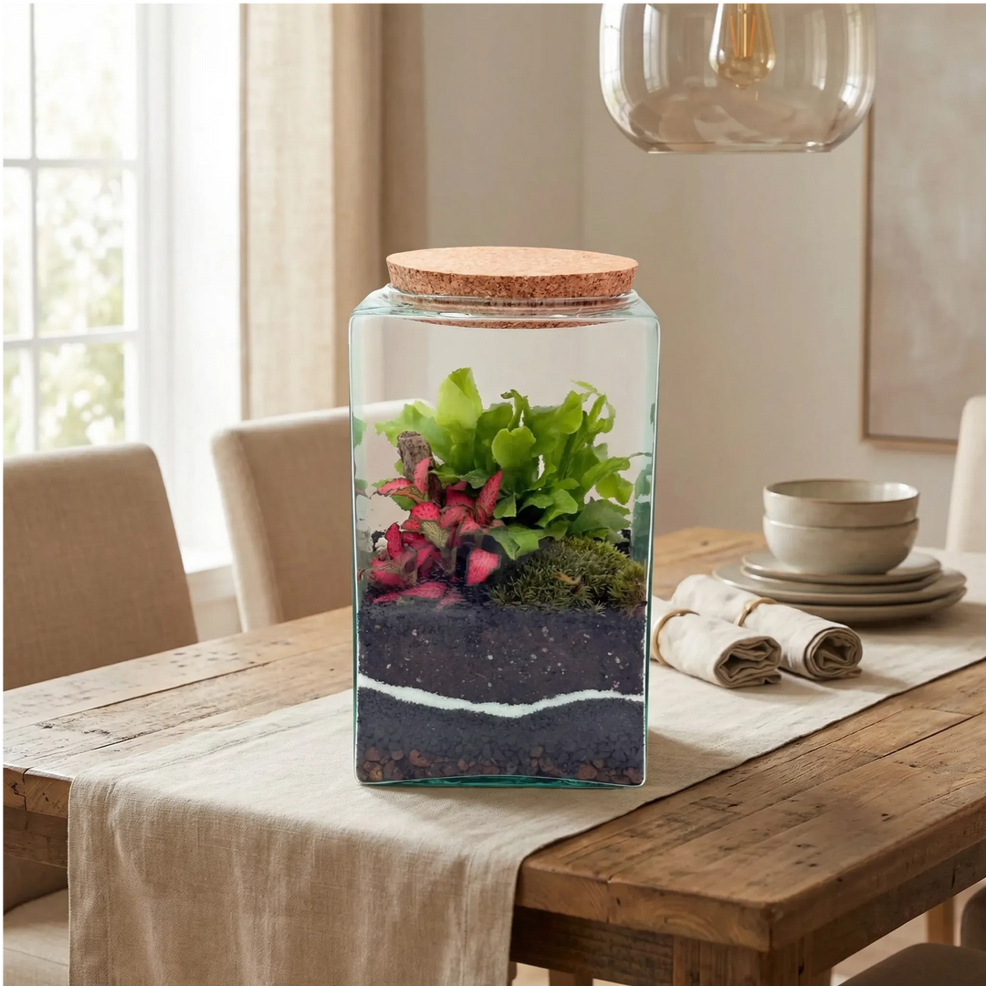 Terrarium Musae 12x20 come centrotavola su tavolo in legno