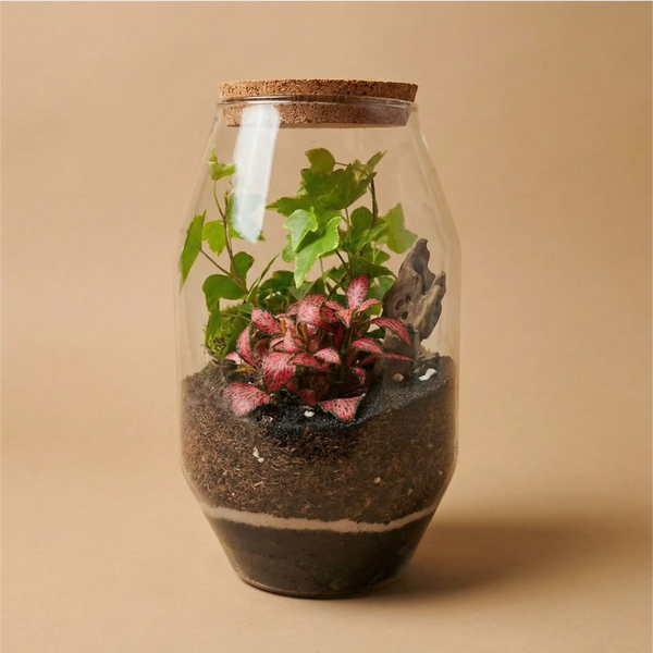 Terrarium Alessia 058