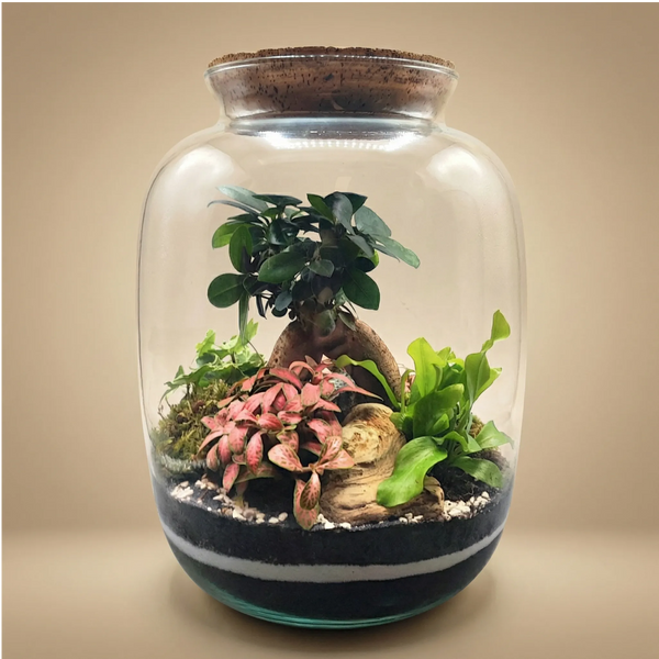 Terrarium Eli avec des plantes vertes