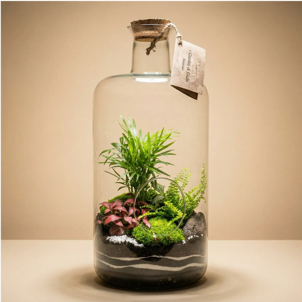 Terrarium Carlotta Green