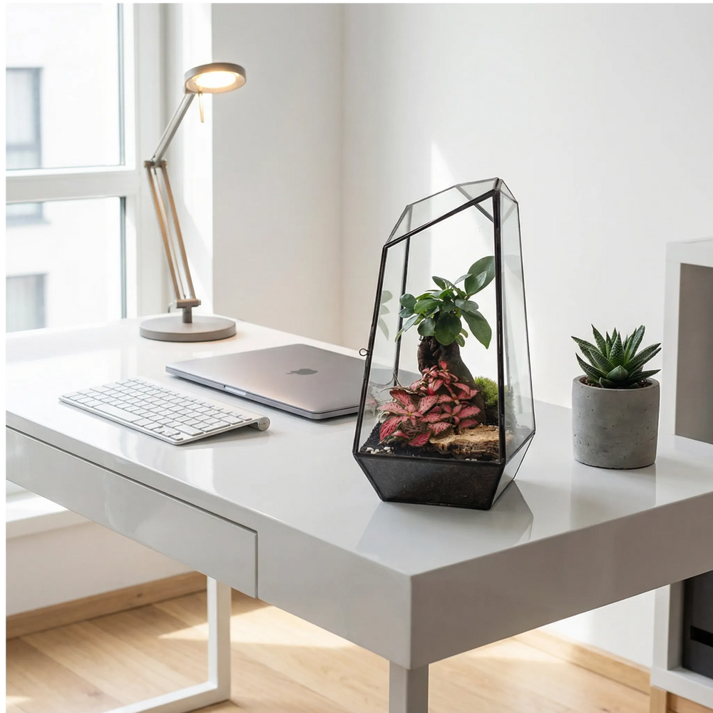 Terrarium Diamante - terrario su scrivania moderna in ufficio, decorazione elegante