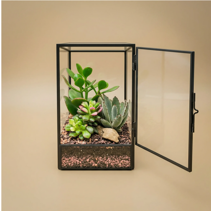 Terrarium géométrique d'Elisa avec plantes succulentes