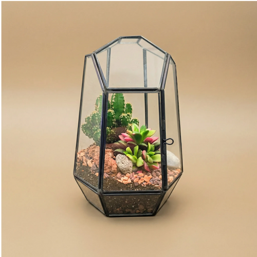 Terrarium Emma geometrico in vetro e metallo nero con cactus e succulente colorate