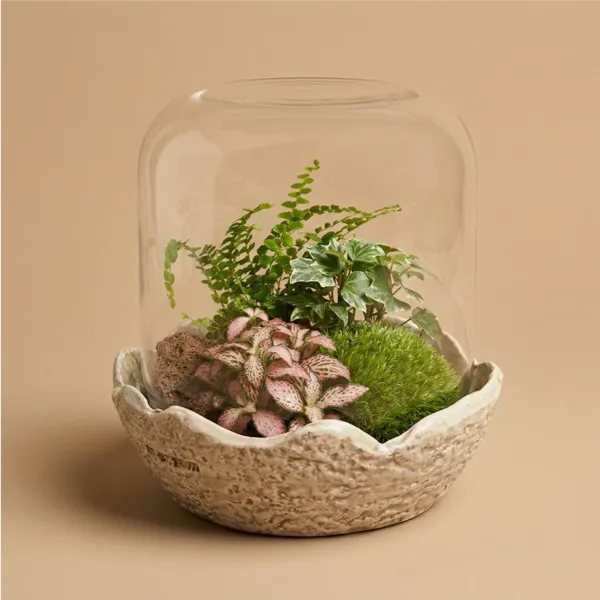 Terrarium avec dôme en verre Medium