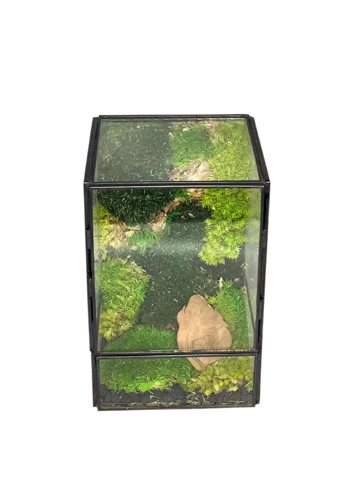 Terrarium geometrico Angolo di Vita 2TR074 - i Giardini di Giulia