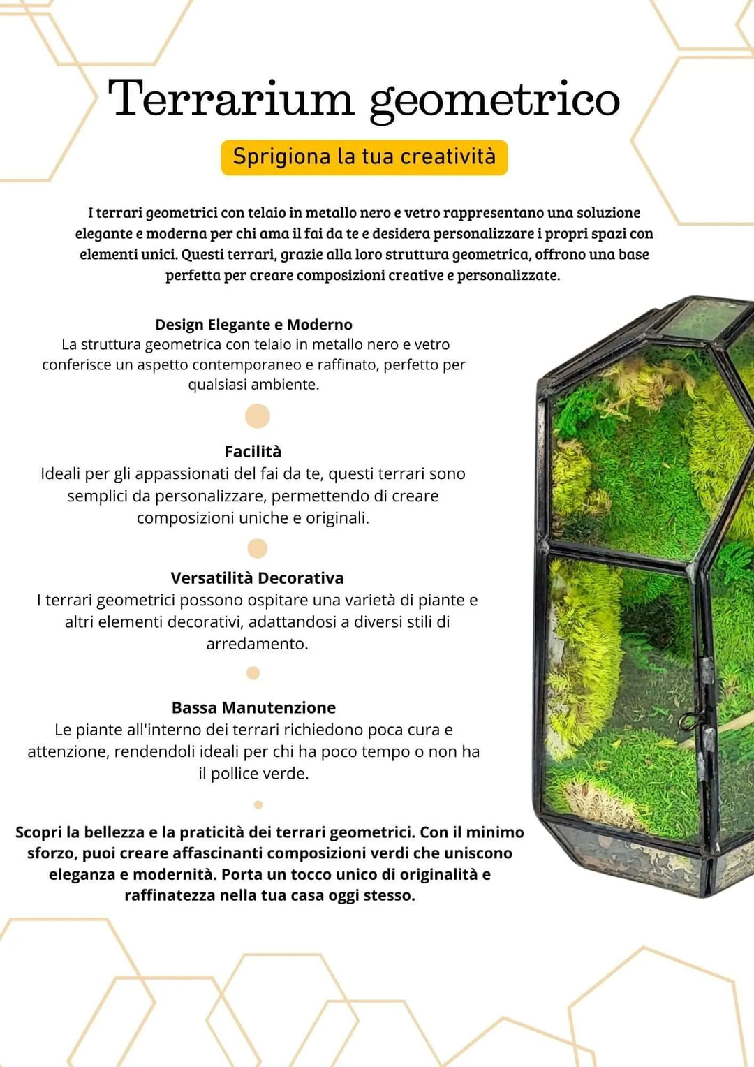 Terrarium geometrico Cristallo di Smeraldo 2TR072 - i Giardini di Giulia