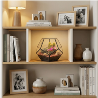 Terrarium piante in vetro su libreria in legno bianco, stile scandinavo