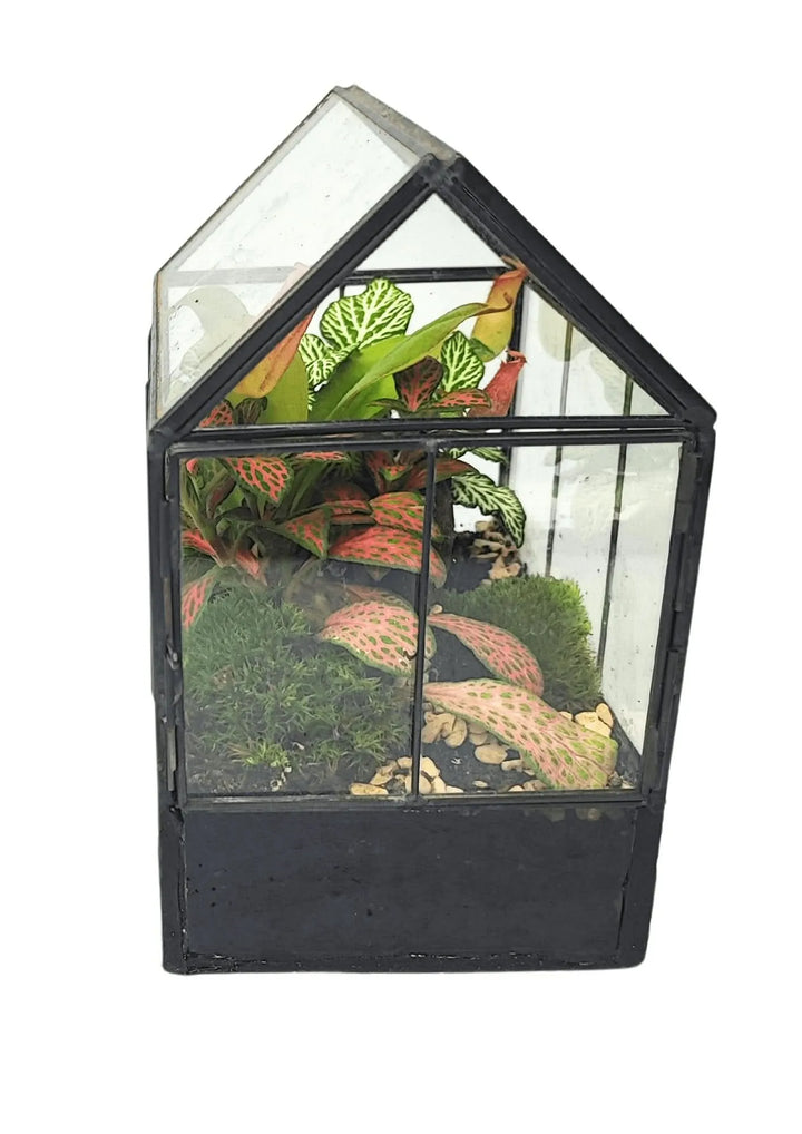 Terrarium geometrico Micro Oasi 2TR062 - i Giardini di Giulia