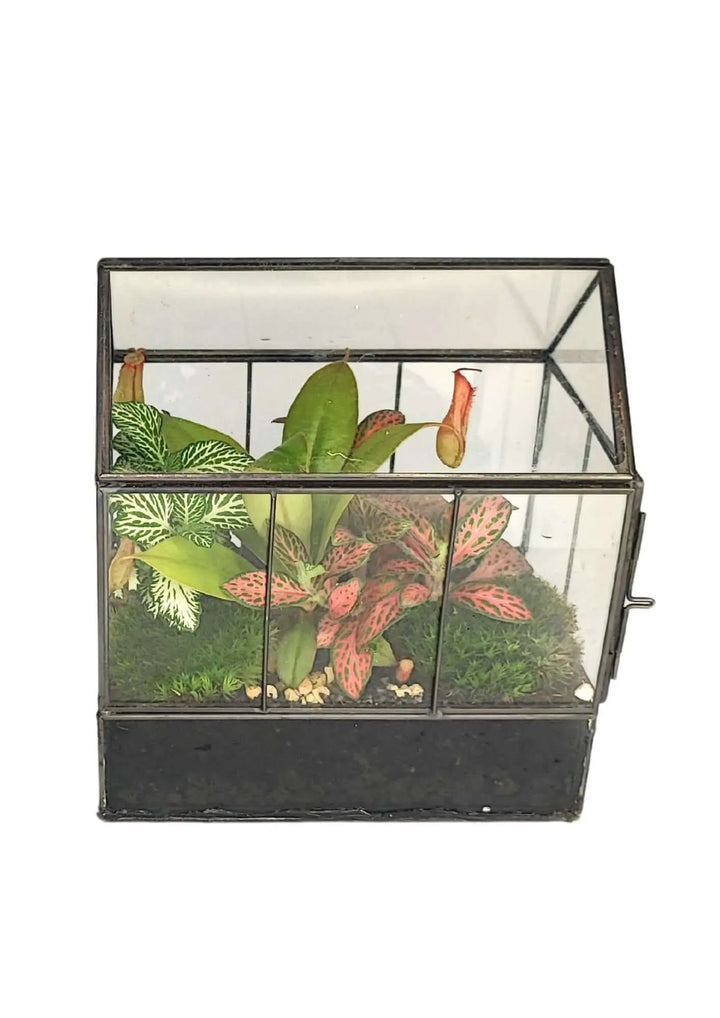 Terrarium geometrico Micro Oasi 2TR062 - i Giardini di Giulia