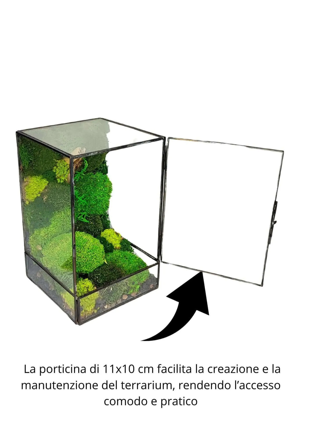 Terrarium geometrico Paradiso Naturale 2TR076 - i Giardini di Giulia