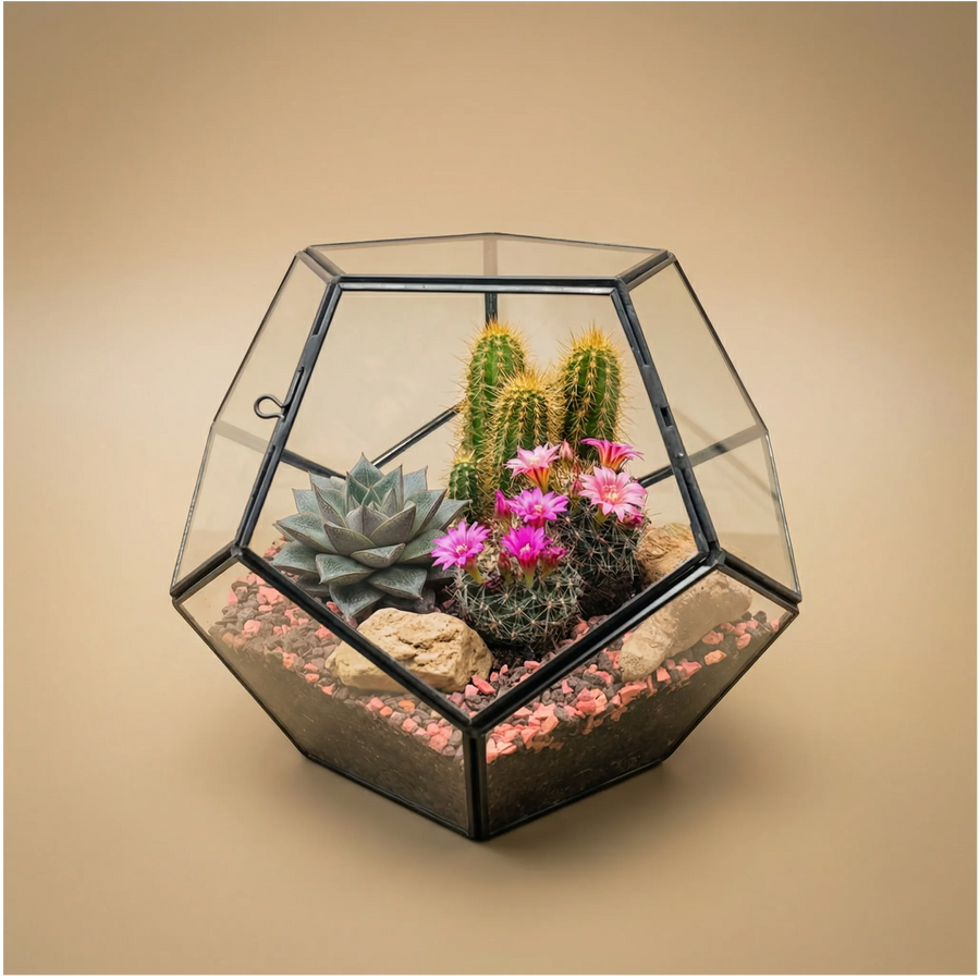 Terrarium geometrico con piante grasse - design moderno con cactus e fiori fucsia