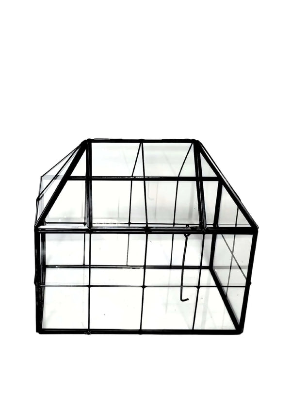 Terrarium géométrique Coffret de la Nature 2TR061
