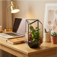 Terrarium geometrico decorativo scrivania home office con laptop lampada ottone notebook