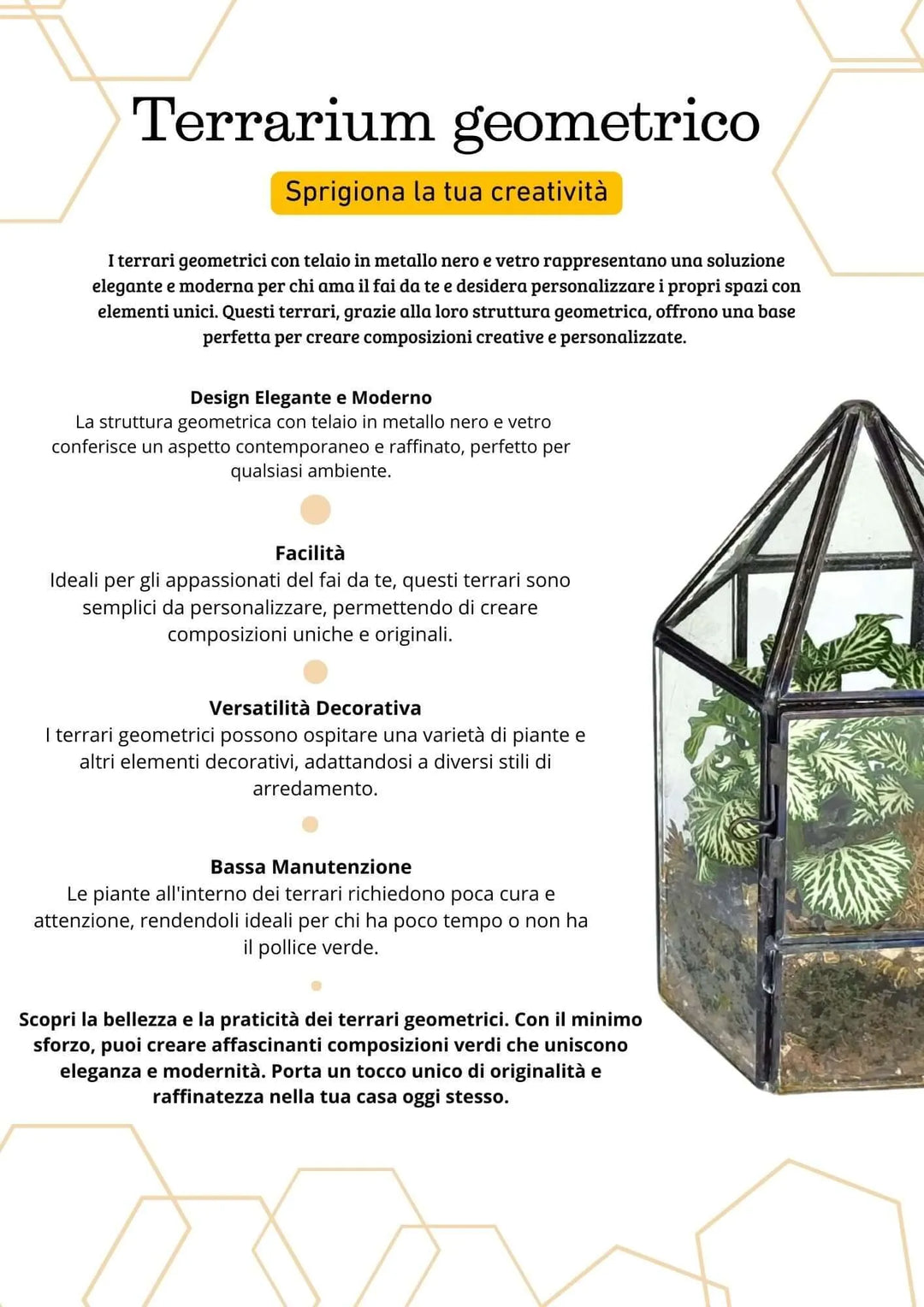 Terrarium geometrico Serra di Cristallo - i Giardini di Giulia