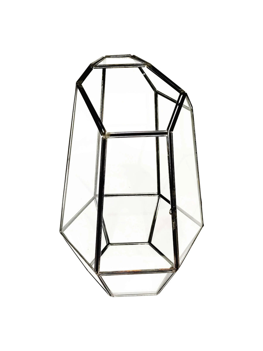 Terrarium geometrico Universo di Vetro 2TR067 - i Giardini di Giulia