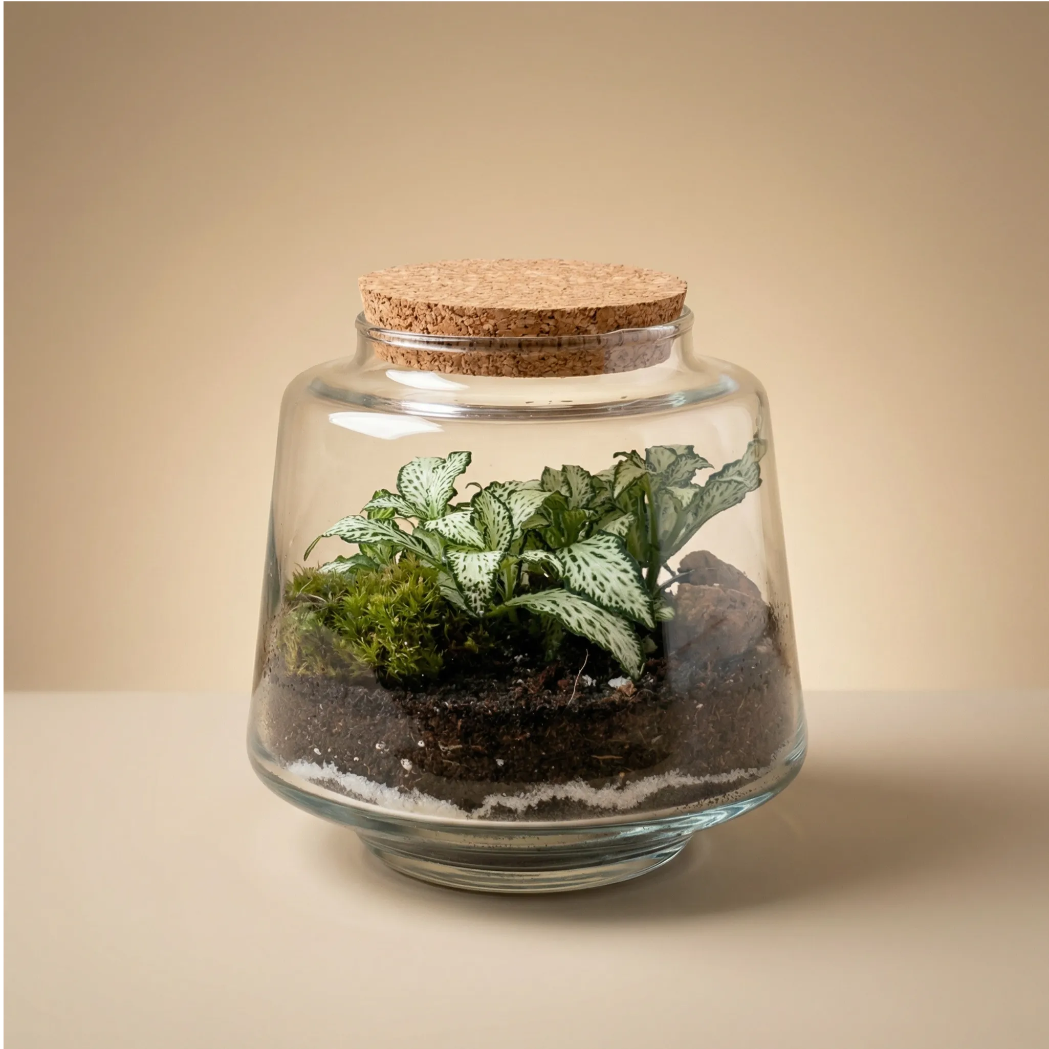 Terrarium