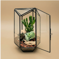 Terrarium geometico Iris con piante grasse