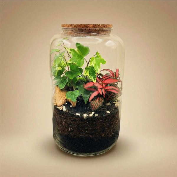 Terrarium Esotico Mini Giardino 015A