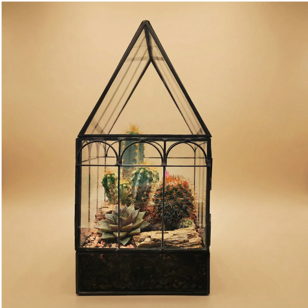 Mini serre romantique avec plantes succulentes 063G