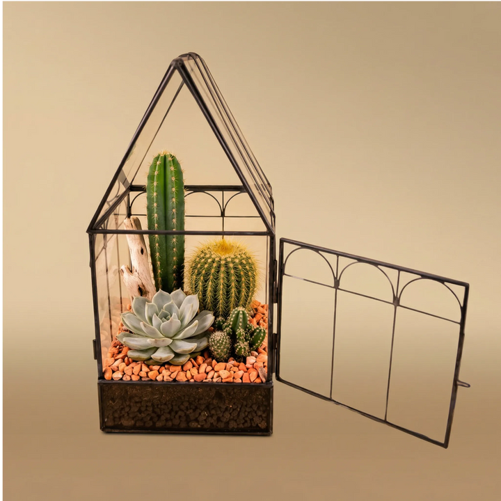 Mini serre romantique avec plantes succulentes 063G