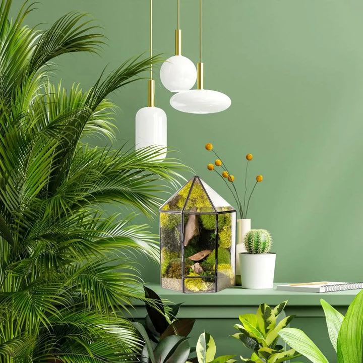 Terrarium Mini Voliera con Muschio Stabilizzato MS60 - i Giardini di Giulia
