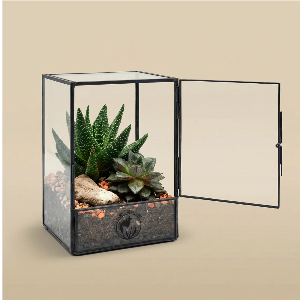 Terrarium Nora porta aperta mostra Aloe Haworthia succulente pietra decorativa. Vetro metallo nero design geometrico. Accesso facile cura piante.
