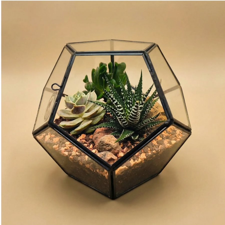 Vimin Box Set 2 pcs, Vasi Quadrati in Ceramica, per Interni, Bianchi, per Piante Grasse, Fiori, Bonsai, Cactus, Decorazione Casa, Scrivania, Tavolo, Ufficio. (M - 10x10cm Vimin Box Set 2 pcs, Vasi Quadrati in Ceramica, per Interni, Bianchi, per Piante Grasse, Fiori, Bonsai, Cactus, Decorazione Casa, Scrivania, Tavolo, Ufficio. (M - 10x10cm