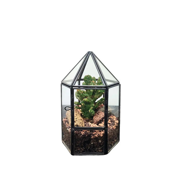 Terrarium géométrique Kira avec plantes succulentes