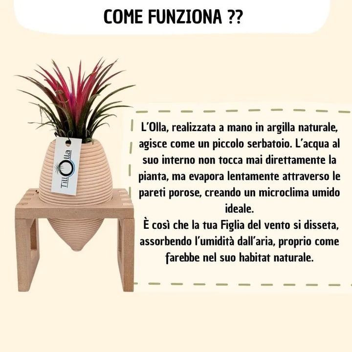 infografica che mostra e spiega come funziona 
